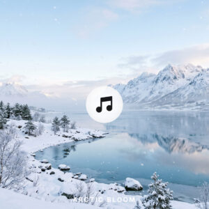 free download Arctic Bloom — Relaxing Ambient Piano Music | Atmospheric Cinematic Background Music