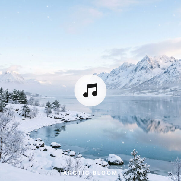 free download Arctic Bloom — Relaxing Ambient Piano Music | Atmospheric Cinematic Background Music