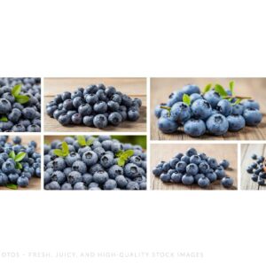 56 Blueberry Photos – Fresh, Juicy, and High-Quality Stock Images