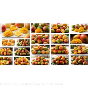83 Mango Slice Stock Photos – Fresh Tropical Fruit Collection