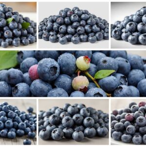 56 Blueberry Photos – Fresh, Juicy, and High-Quality Stock Images