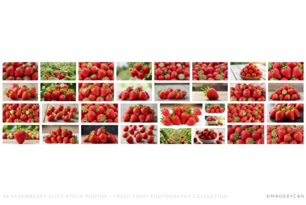 88 Strawberry Slice Stock Photos - Fresh Fruit Collection